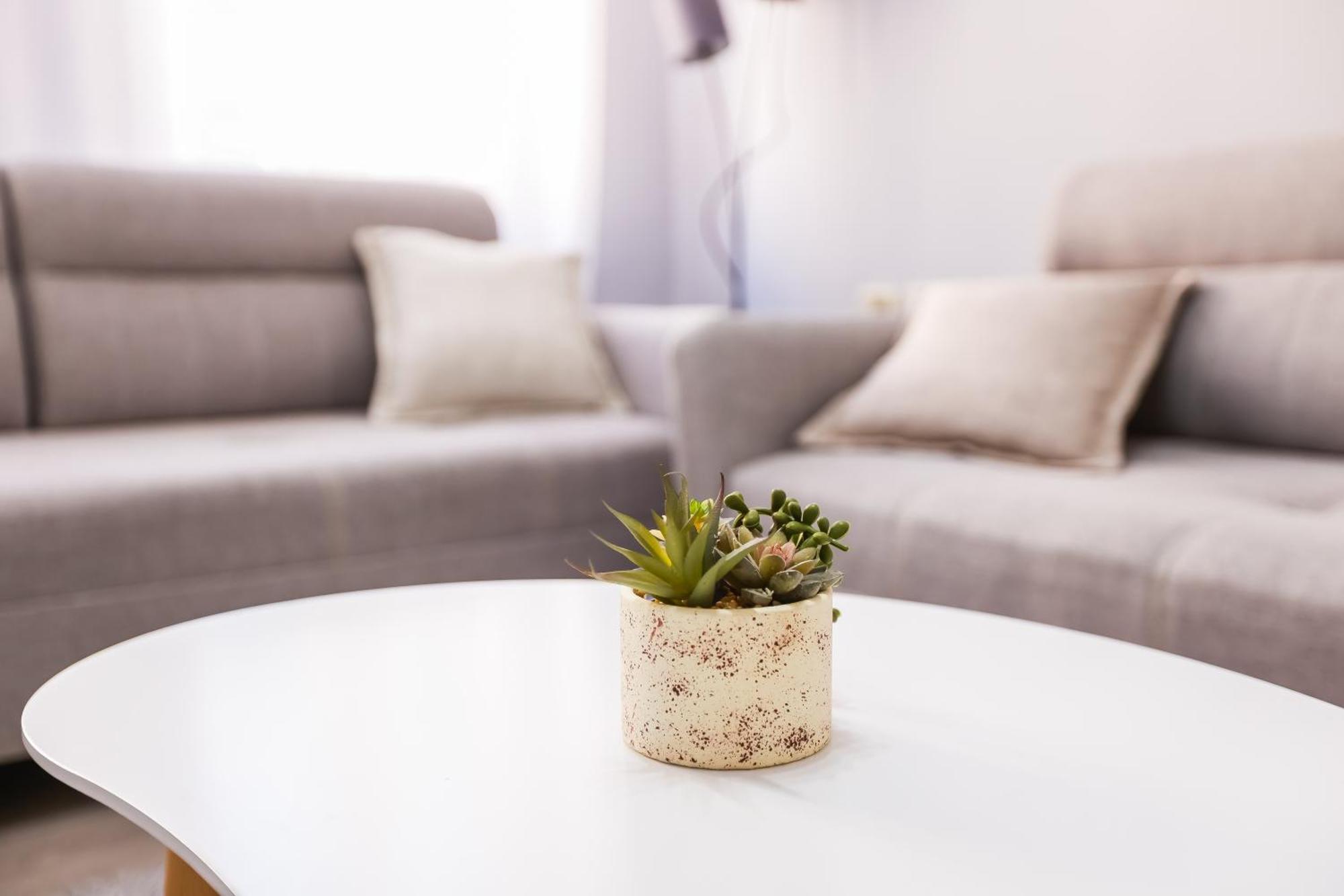 Viewpoint Central Apartment Tirana Zewnętrze zdjęcie