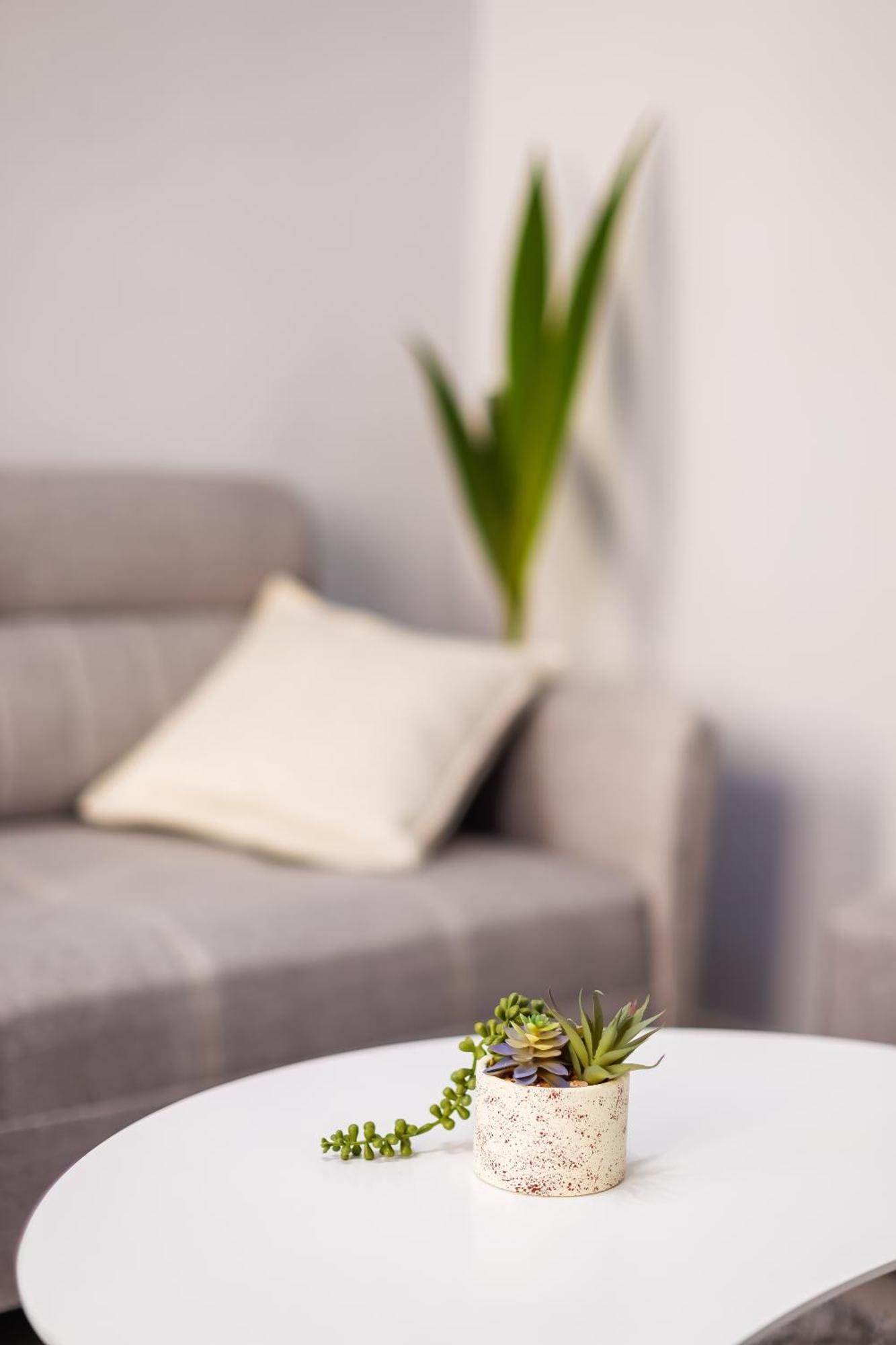 Viewpoint Central Apartment Tirana Zewnętrze zdjęcie